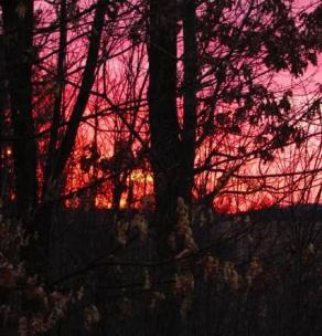 Emily_2016_0123_003 (1).jpg