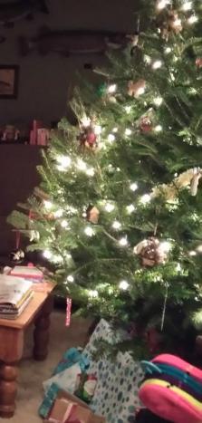 IMG_20171206_061223.jpg