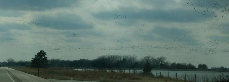 IMG_20180409_165651_1