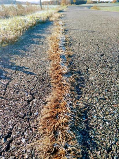 IMG_20181024_083336 (1)